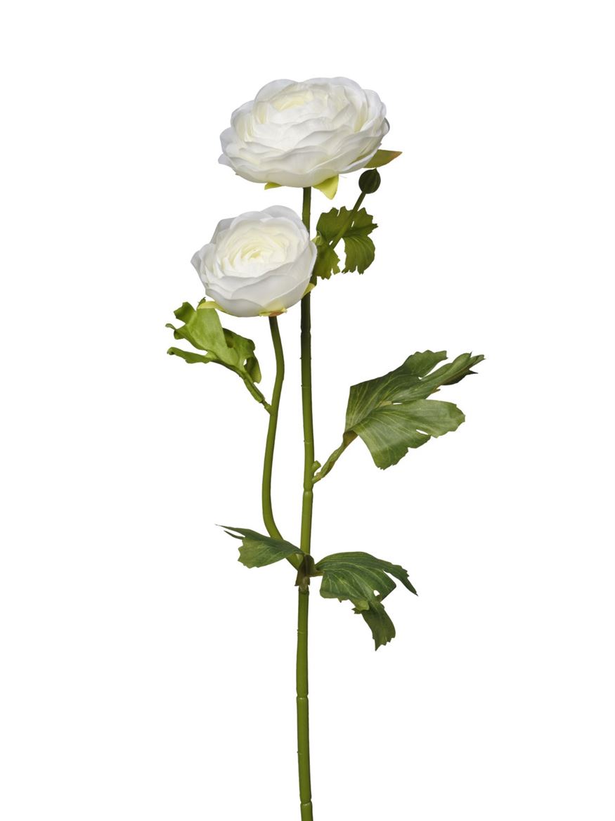Art. Ramo Ranuncoli X2 Cm51 - White