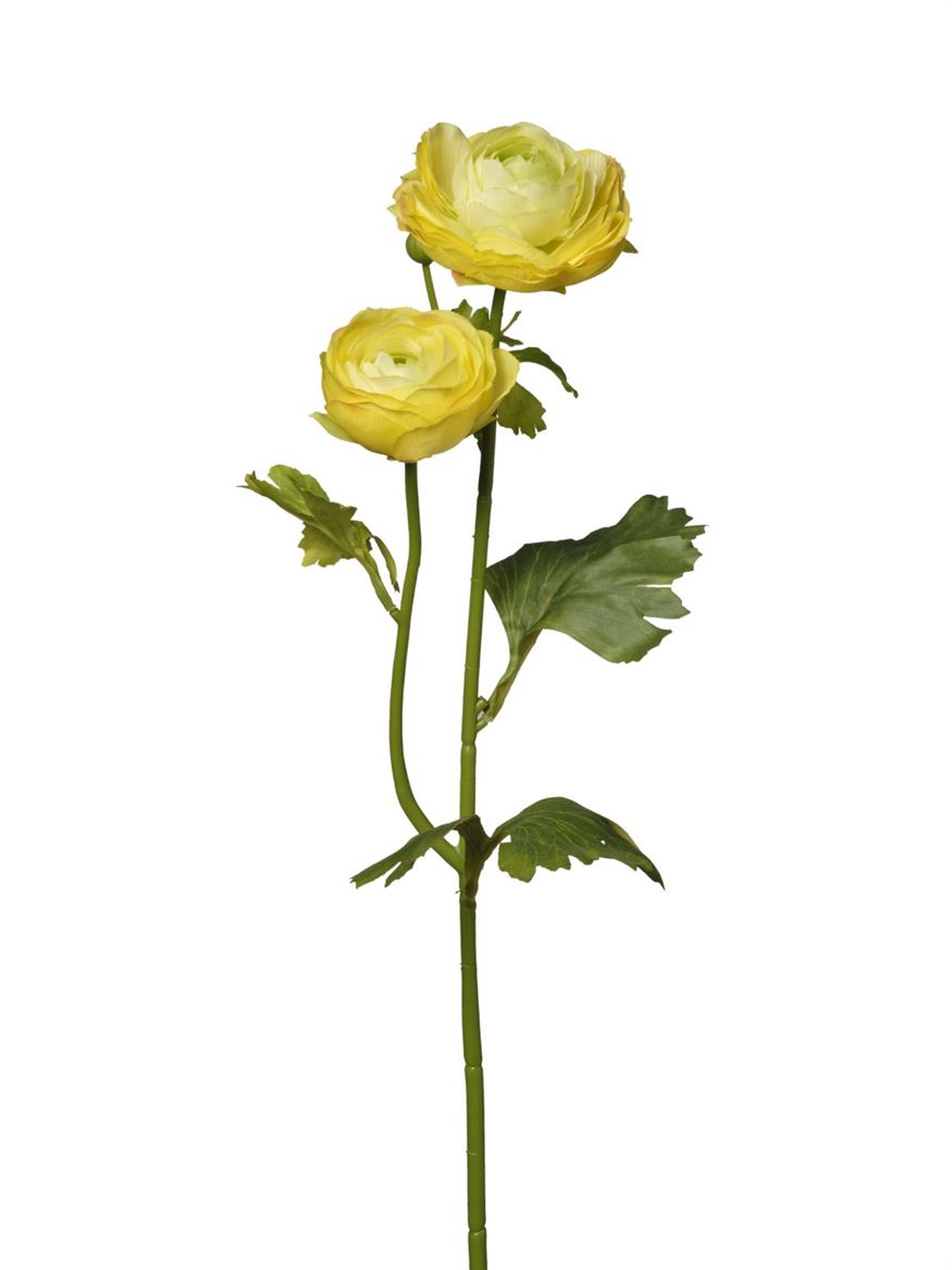 Art. Ramo Ranuncoli X2 Cm51 - Yellow