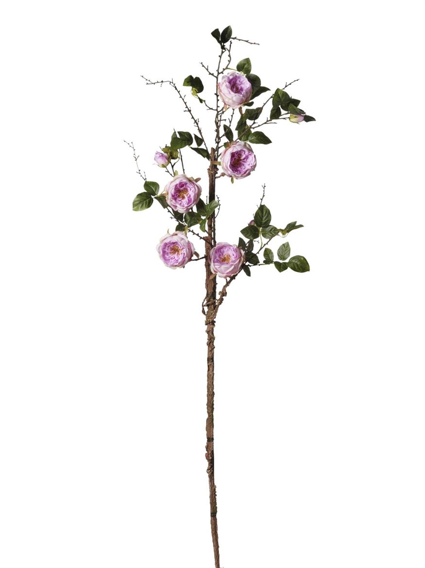 Art. Ramo Rosa Cm165 - Lavender