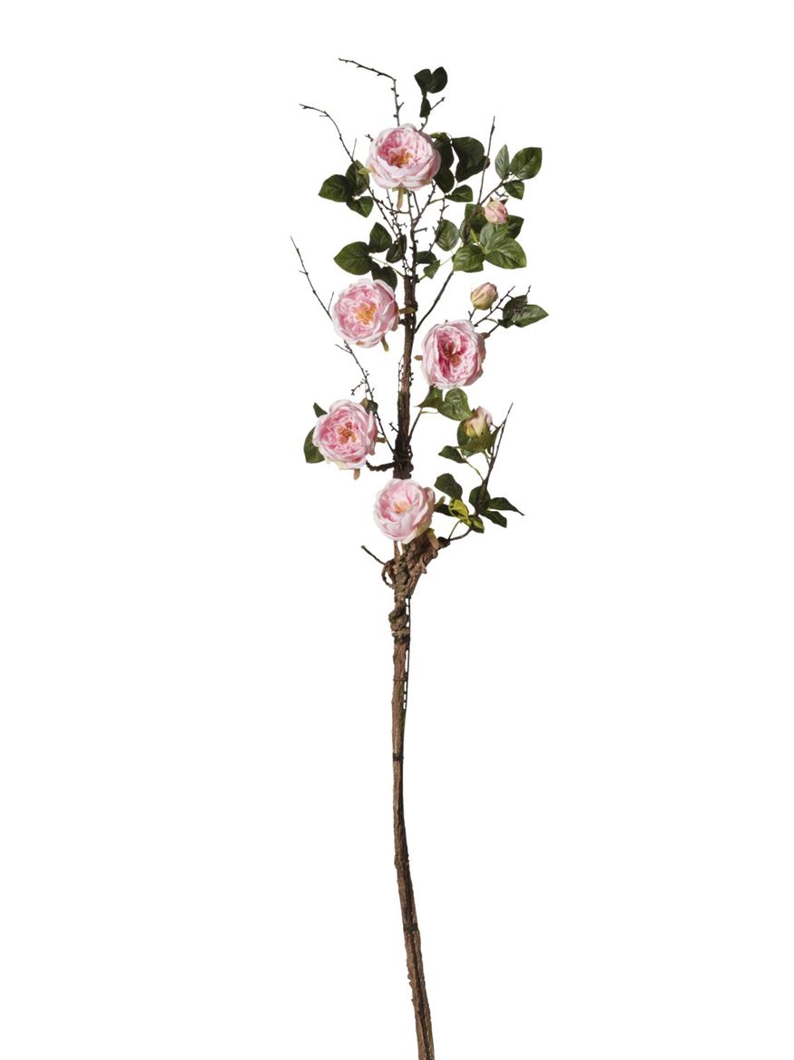 Art. Ramo Rosa Cm165 - Pink