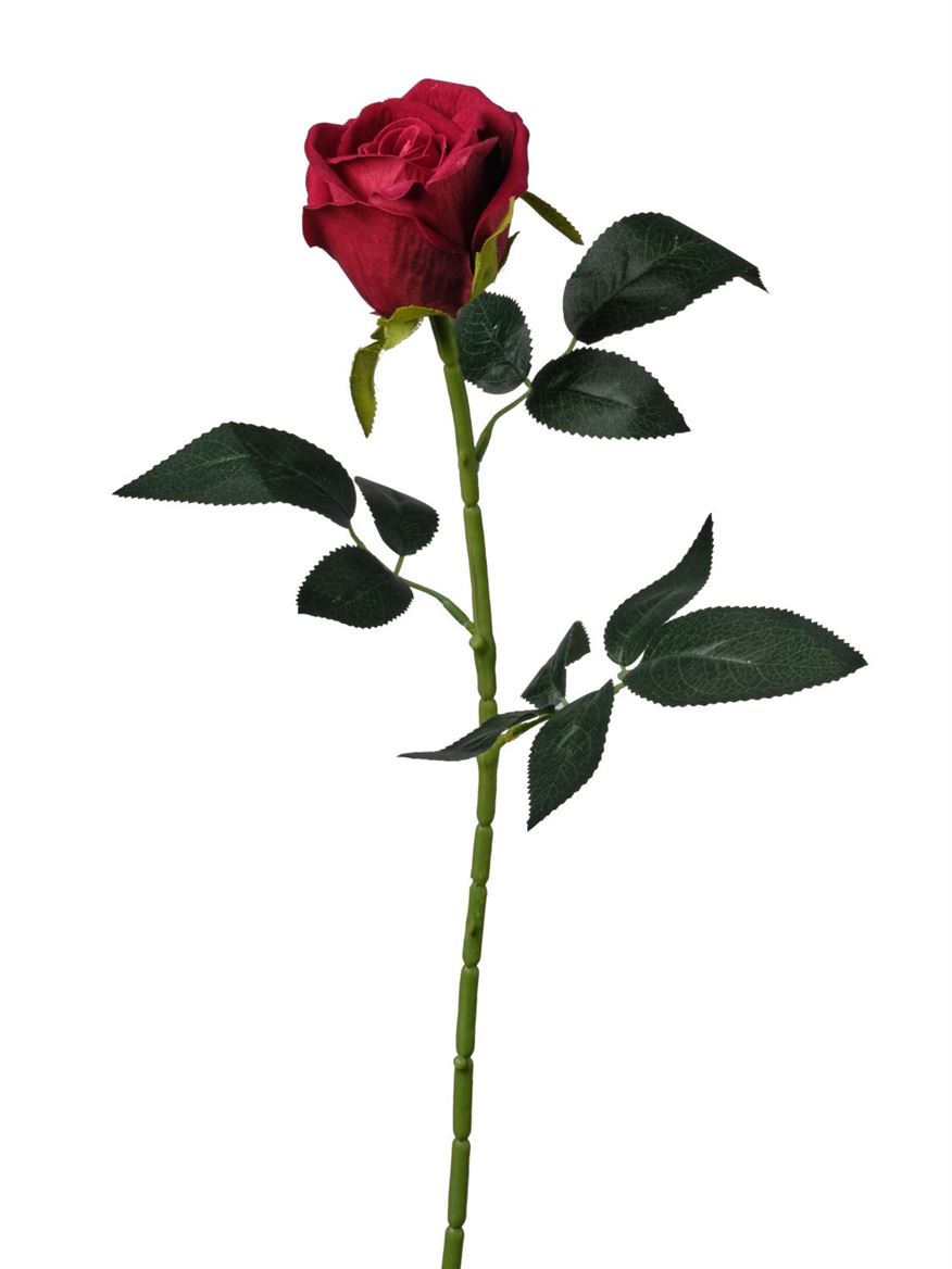 Art. Ramo Rosa Media 18x74cm Red