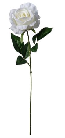 Art. Ramo Rosa Singola 66cm Cream