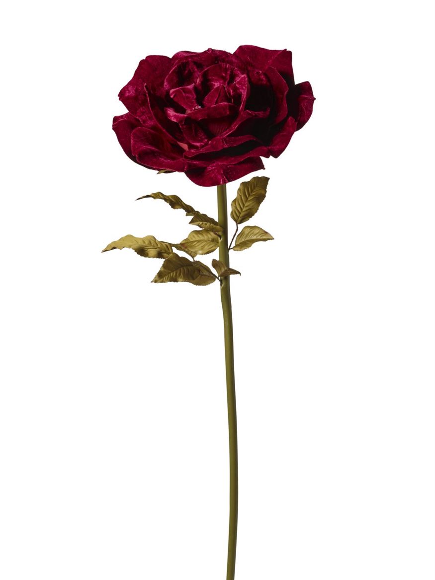 Art. Ramo Rosa Velluto 37x37x116cm - Burgundy