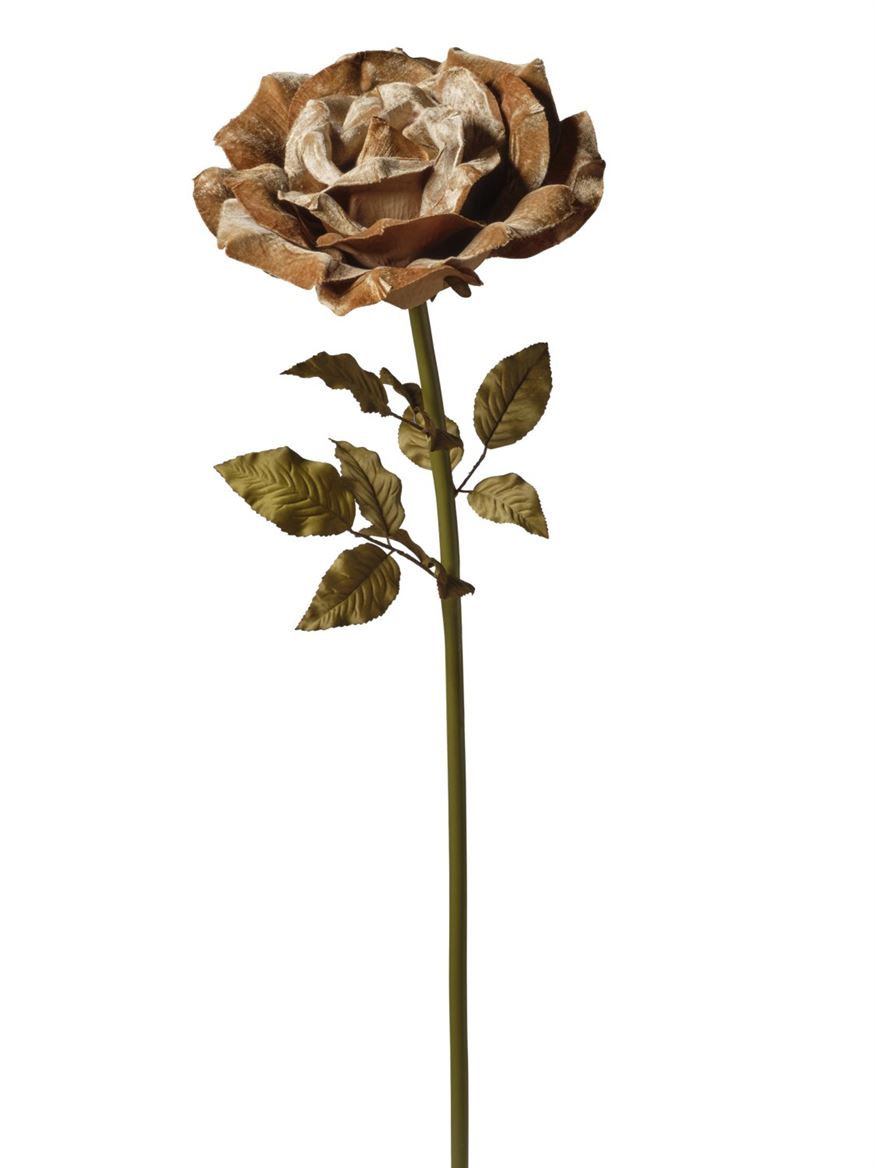 Art. Ramo Rosa Velluto 37x37x116cm - Tan