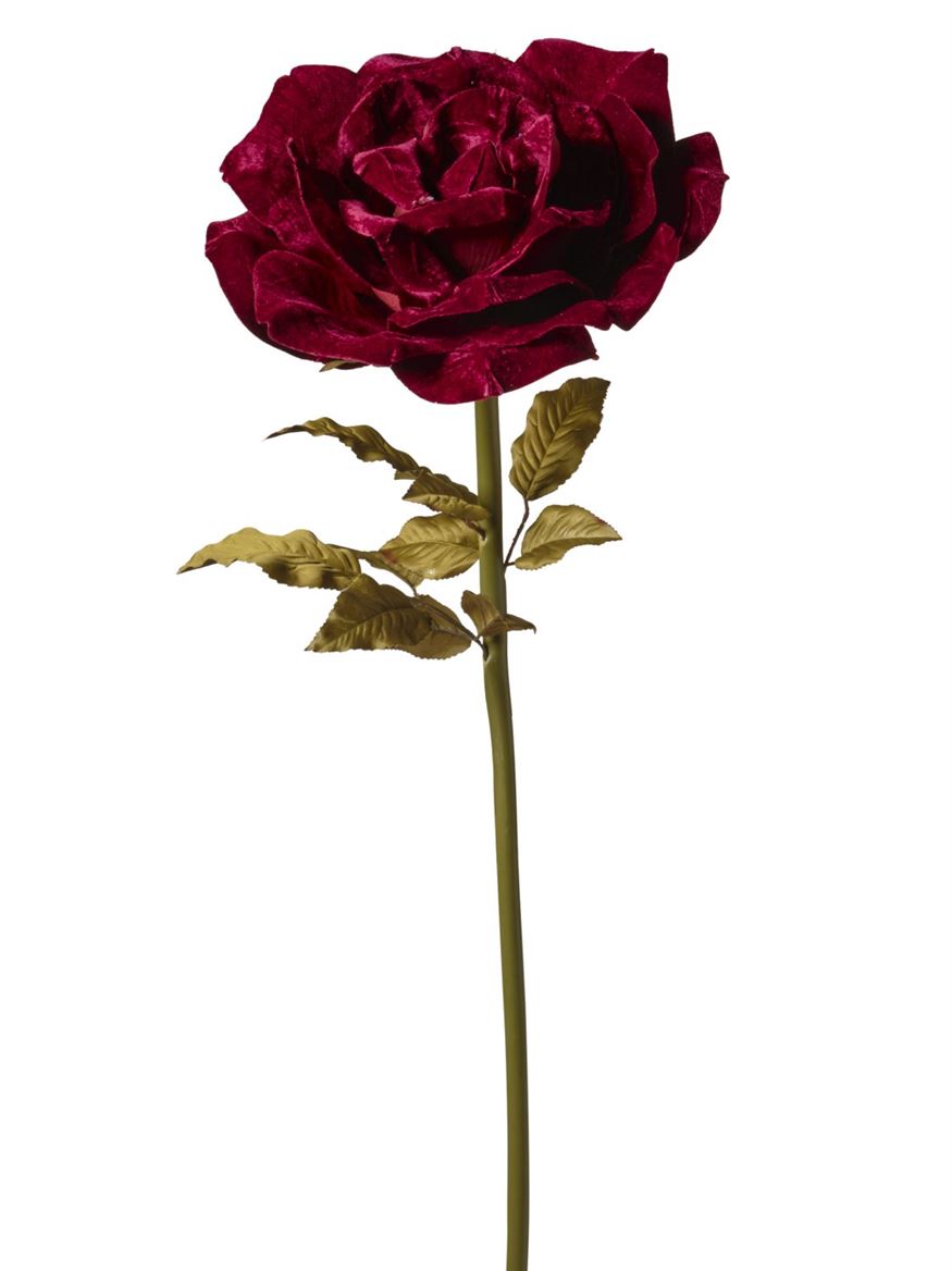 Art. Ramo Rosa Velluto 50x50x136cm - Burgundy