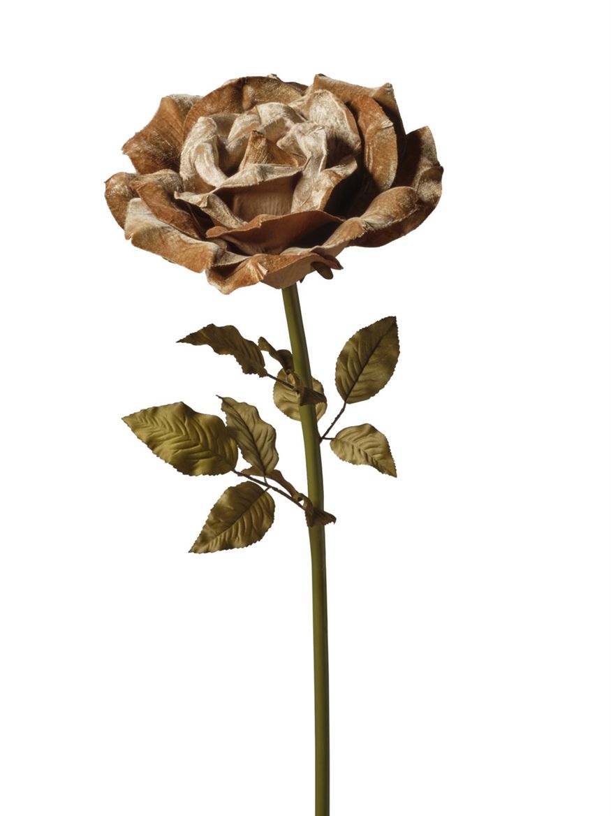 Art. Ramo Rosa Velluto 50x50x136cm - Tan