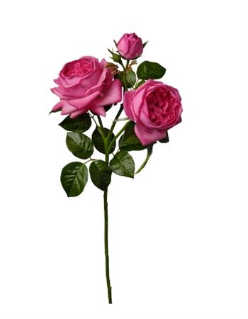 Art. Ramo Rosa X3 Cm70 Beauty