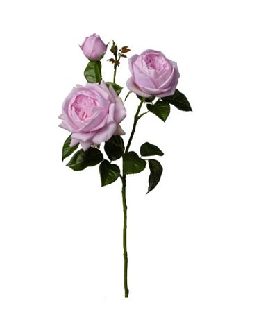 Art. Ramo Rosa X3 Cm70 Lavender