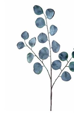 Art. Ramo Silver Dollar 80cm - Grey Green