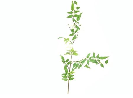 Art. Ramo Stephanotis Spray 110cm - White
