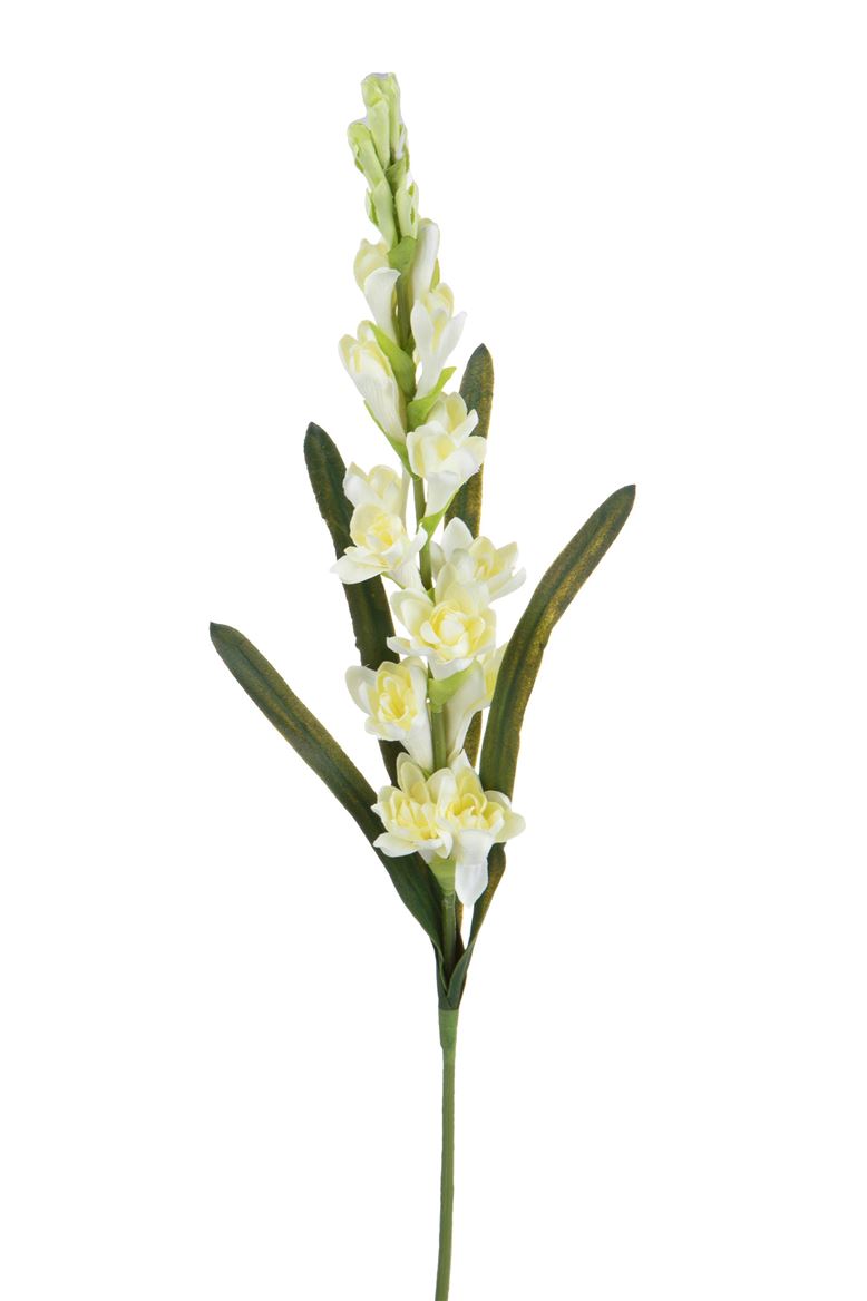 Art. Ramo Tuberosa Con Foglie 90cm Cream