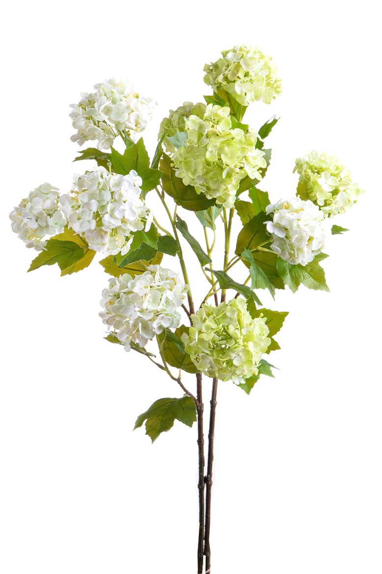 Art. Ramo Viburno X5 H.85cm Cream/green