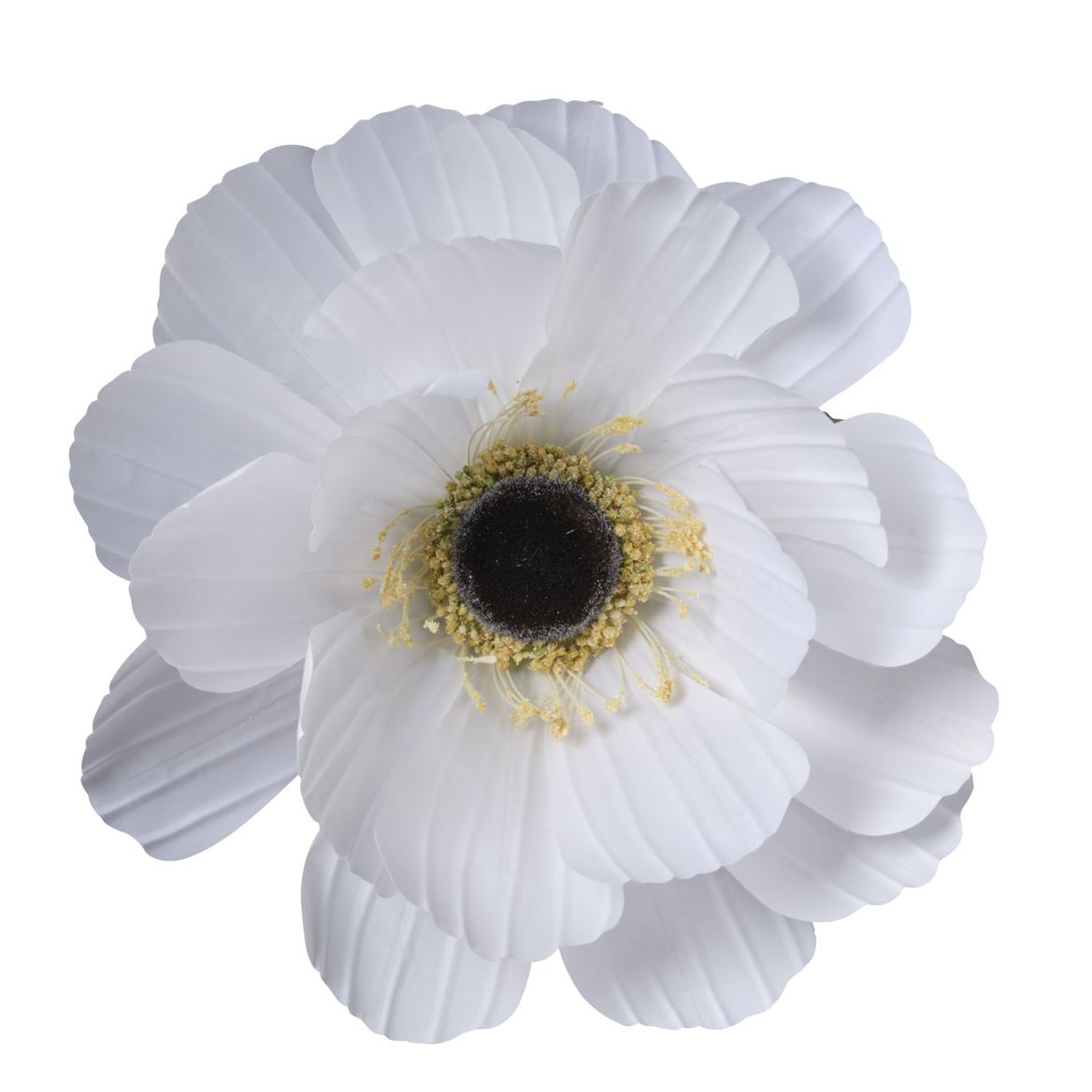 Art. Testa Anemone Gigante D.45cm - White