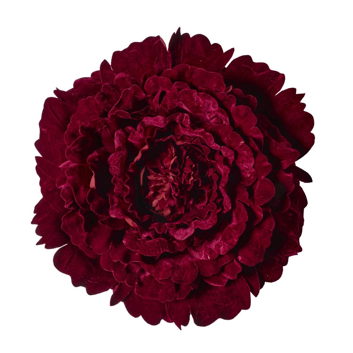 Art. Testa Peonia Velluto 58x58x18cm - Burgundy