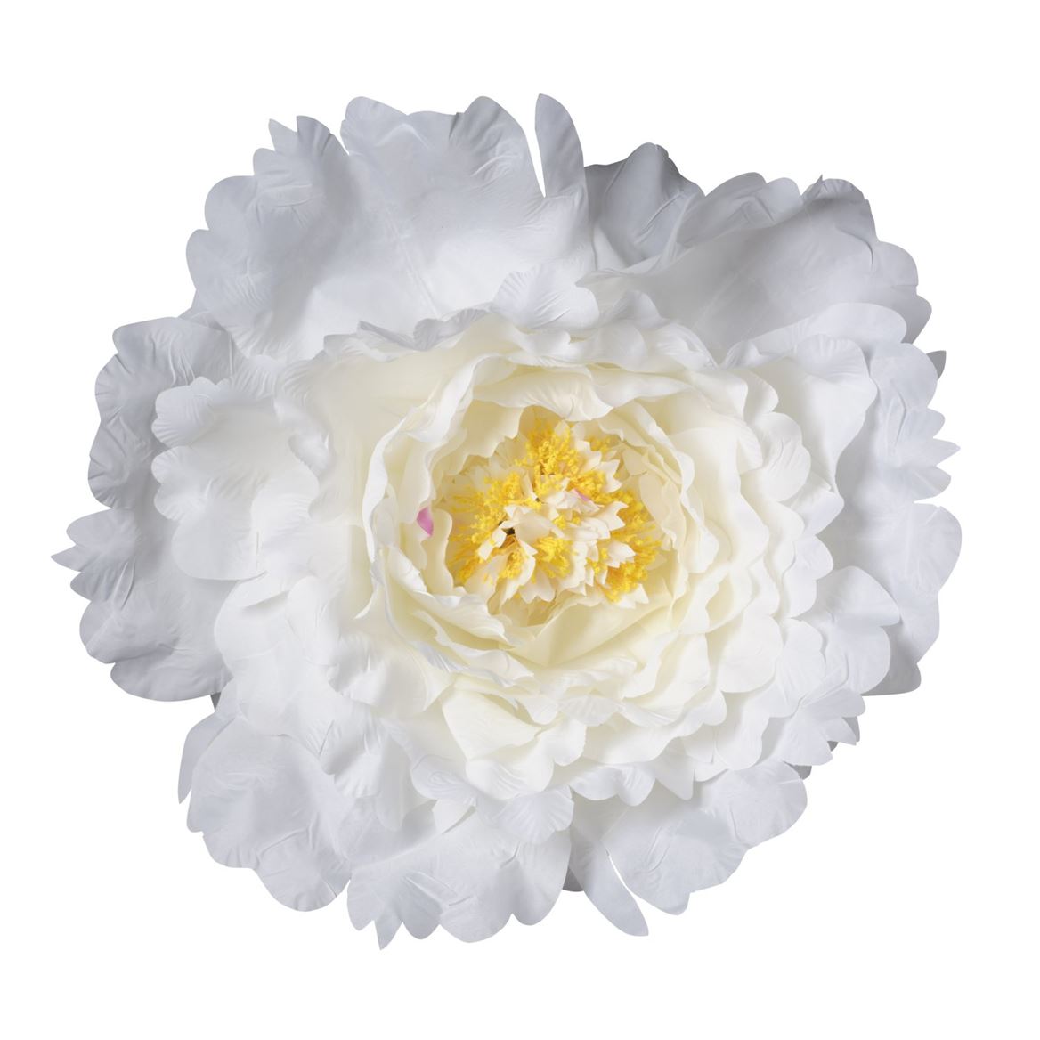 Art. Testa Peonia Xxxl D.58cm - Cream