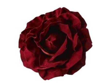Art. Testa Rosa Velluto 75x75x36cm - Burgundy