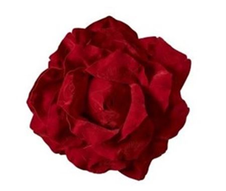 Art. Testa Rosa Velluto 75x75x36cm - Red