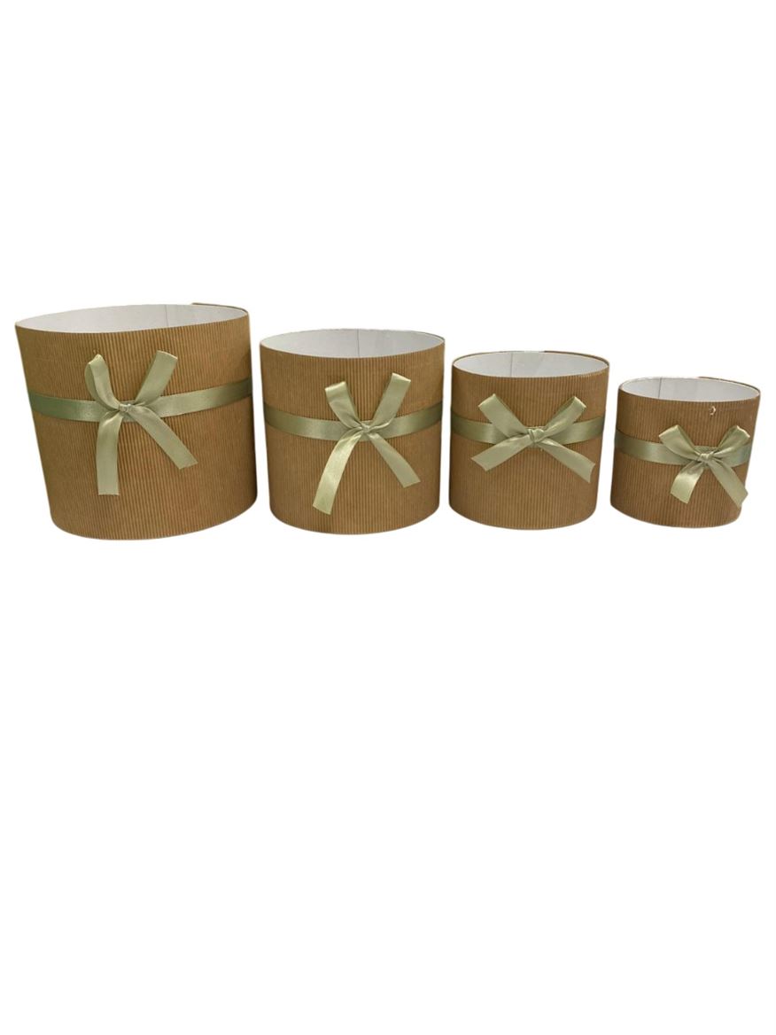 Box. Plissettato 4pz Fiocco Salvia - D.17-15-12-10