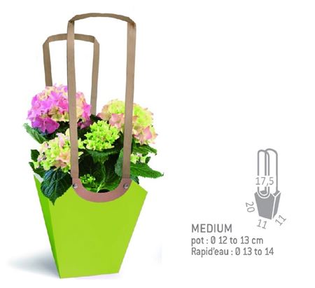 Buste. Aqua Medium Green - Box 10pz