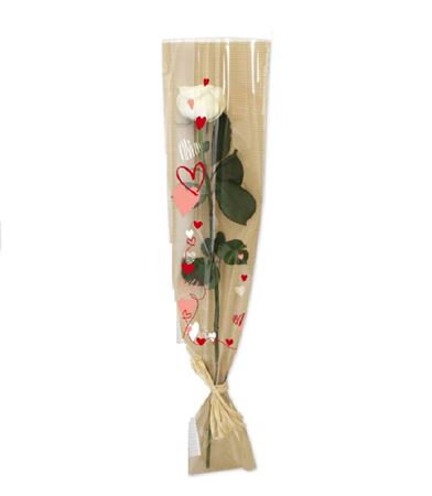 Buste. Portarosa Philomene Natural 16x80cm -100pz.