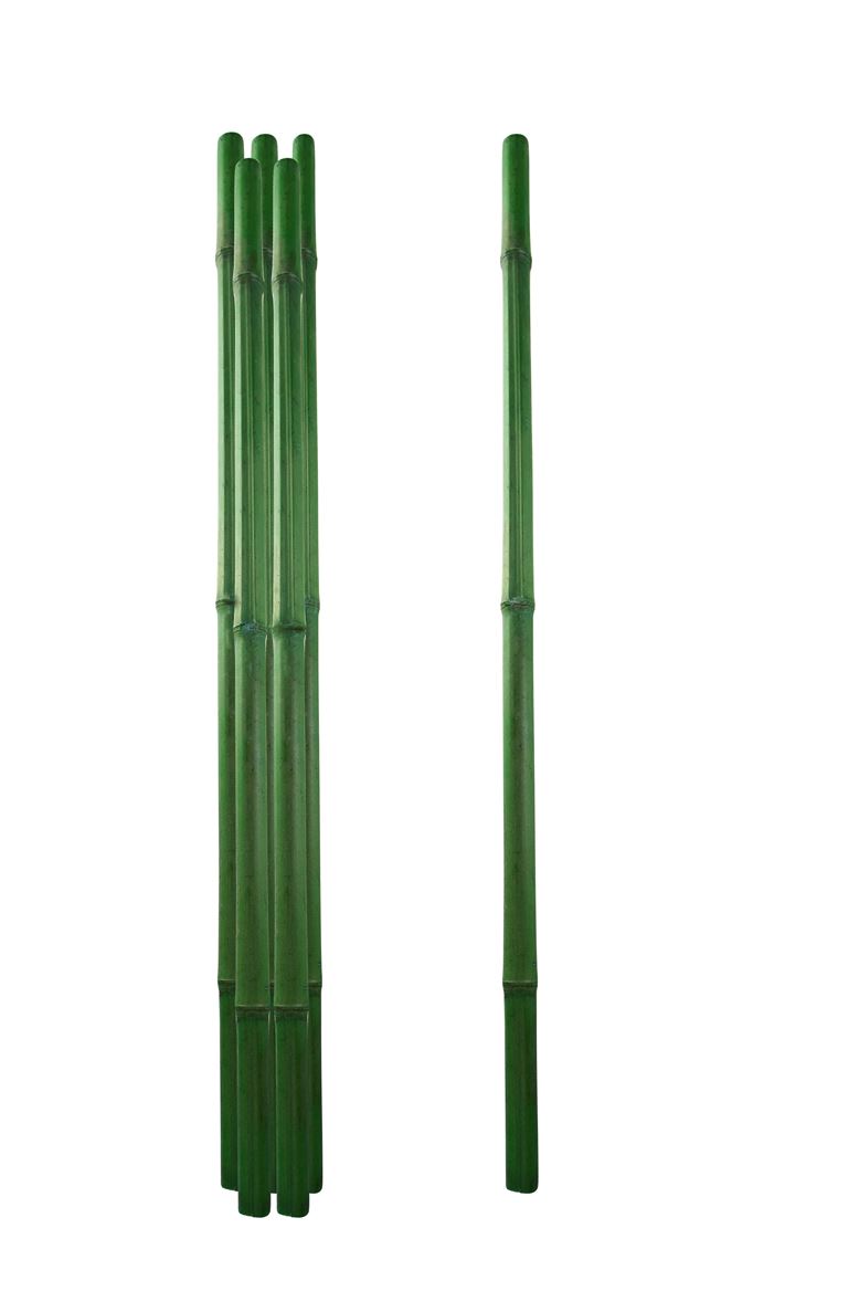 Deco. Bamboo 200cm D.3/4cm - Verde Moss