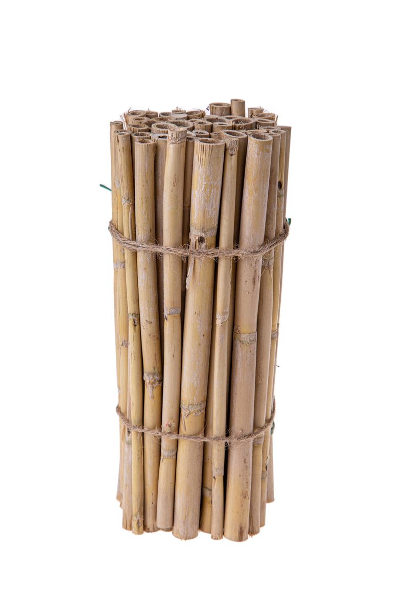 Deco. Bamboo 25cm D.1.5cm 50pz - Naturale