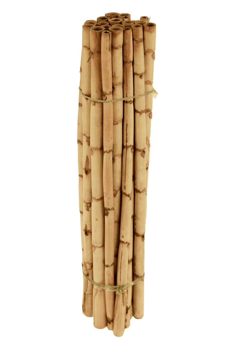 Deco. Bamboo 50cm D.1.5cm 20pz - Naturale