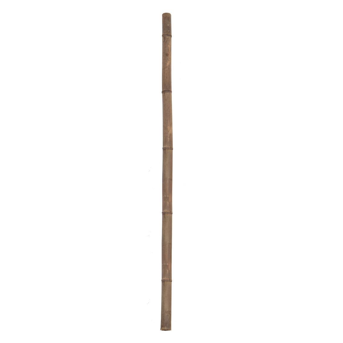 Deco. Bamboo Canna 250cm D.6/8cm