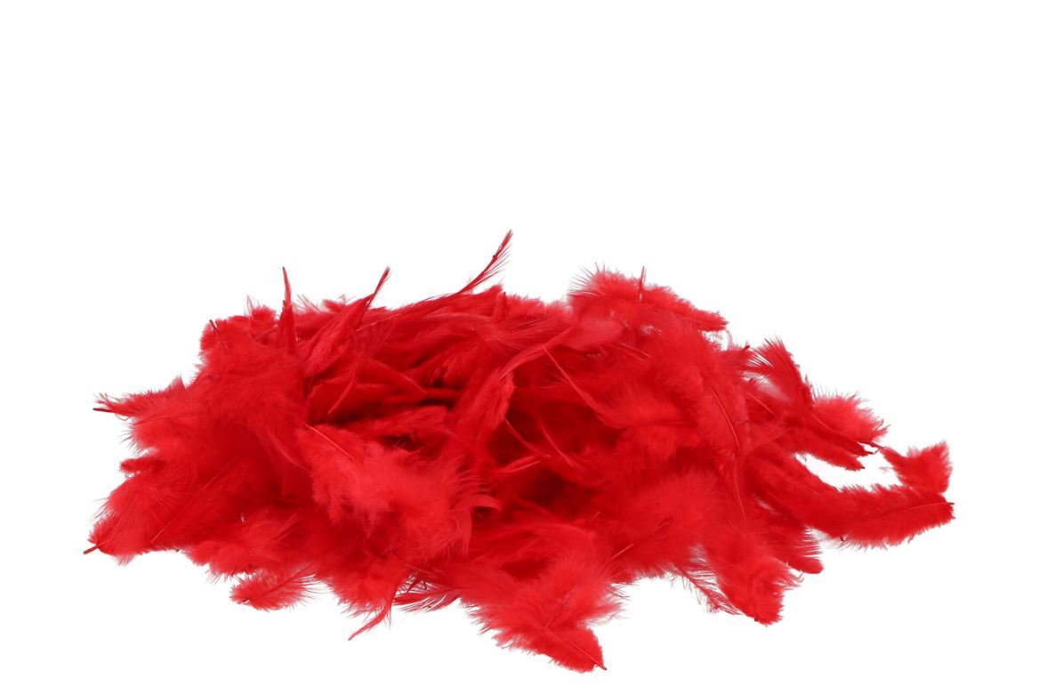 Deco. Confezione Piume Rosse 20 Gram