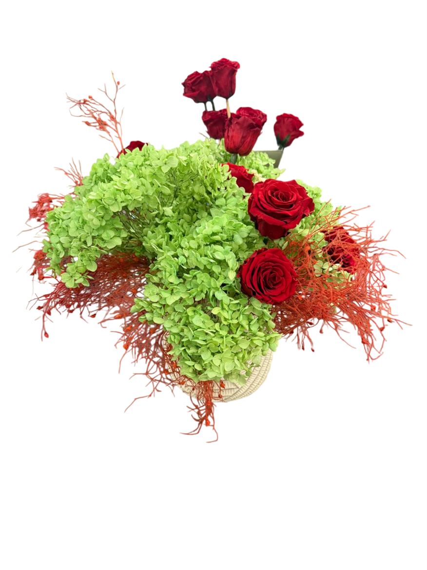 Deco. Hydra. Euca. Lim. Dr Gr. Rosa Red02 + V.cem.