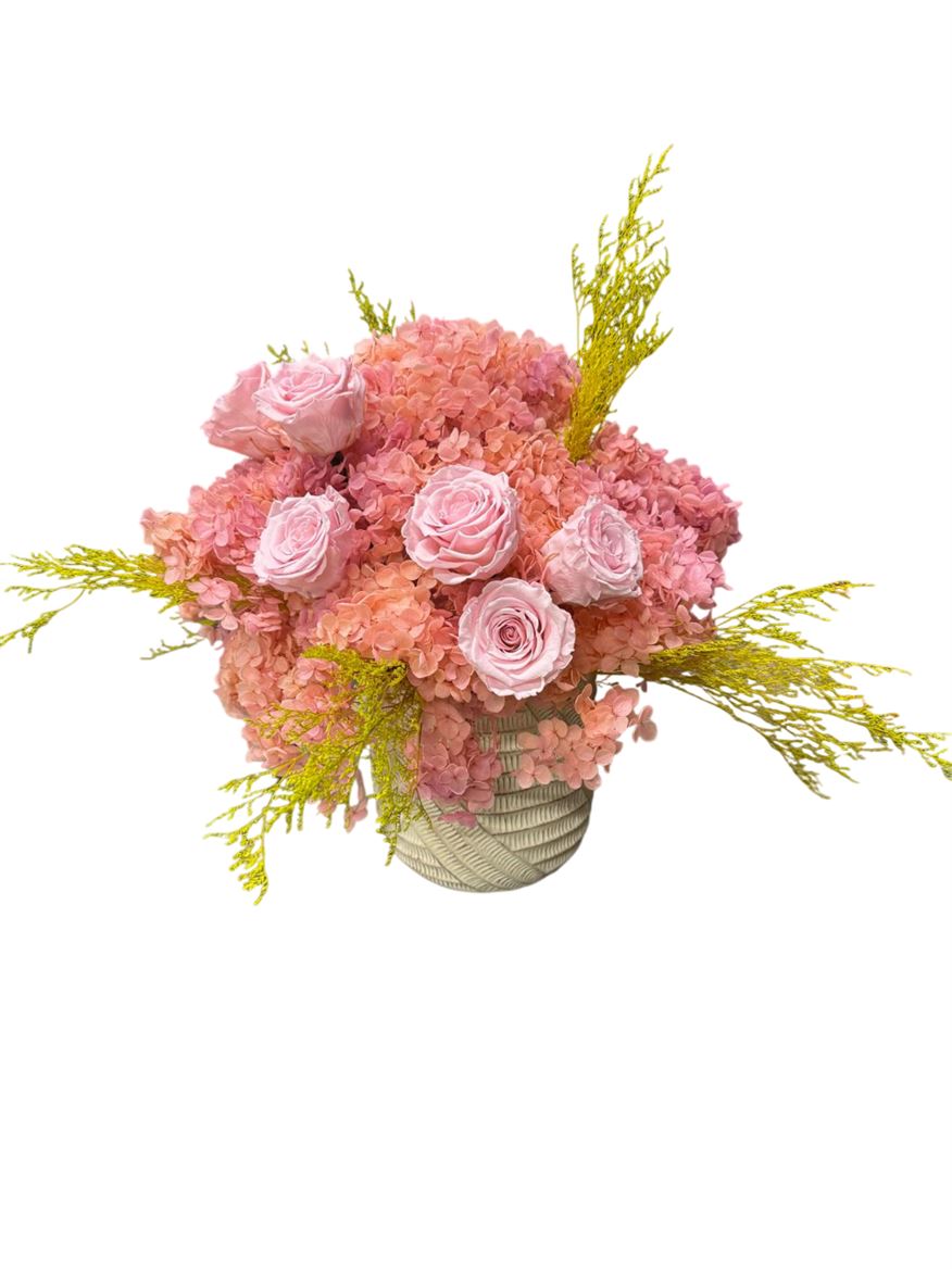 Deco. Hydra. Rosa Pin + Vaso Bianco Cemento