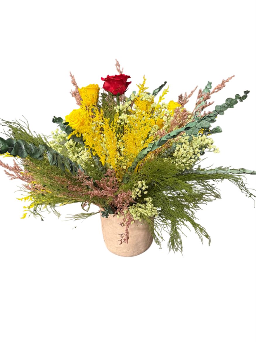 Deco. Lim. Euca. Gyps. Rosa Yel02 + Vaso St Pink