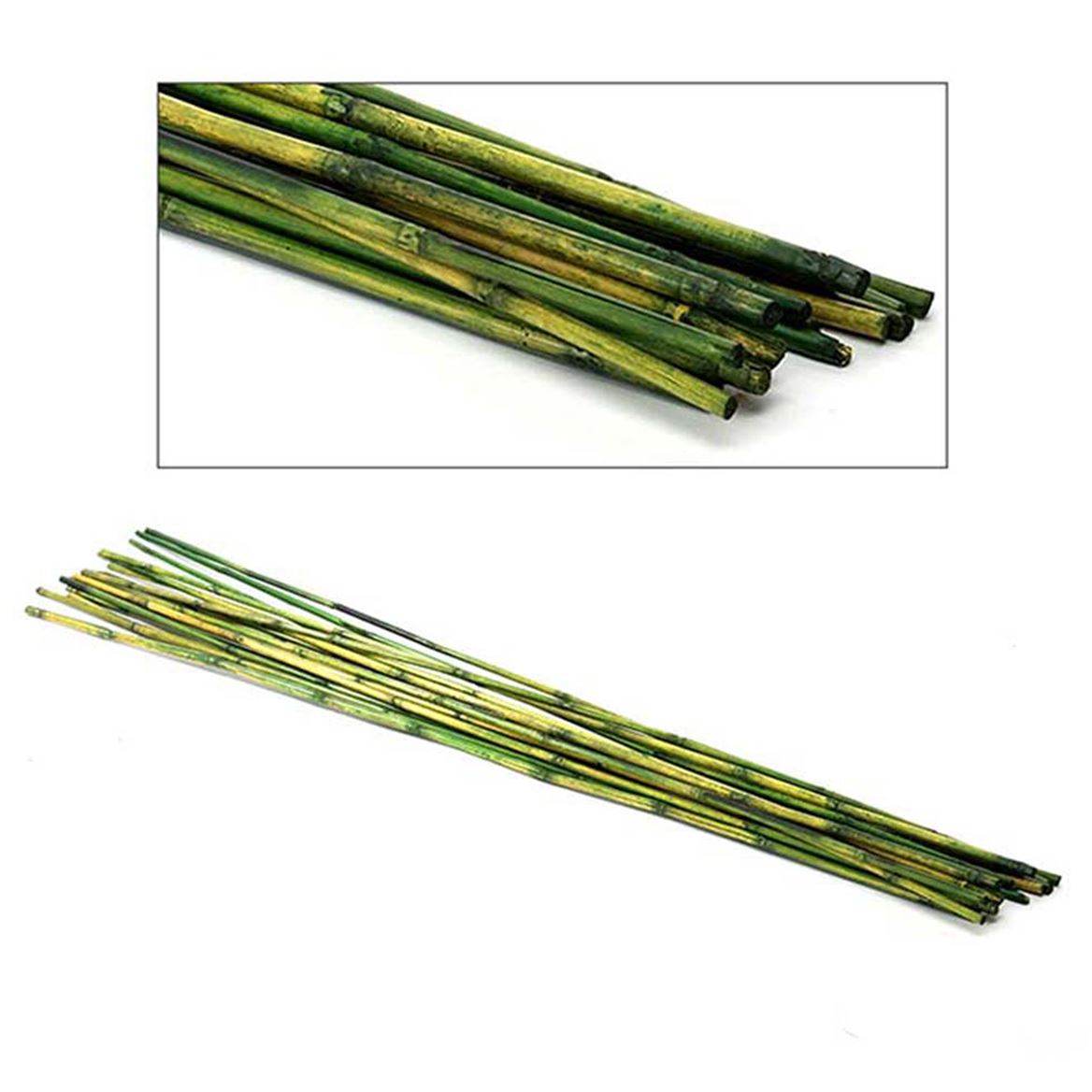 Deco. Mazzo Cana Reed H.100cm - Green