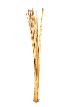 Deco. Mazzo Cana Reed H.100cm - Naturale