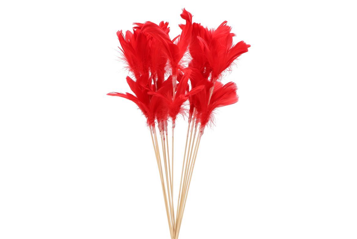 Deco. Piume Rosse 72cm P/12