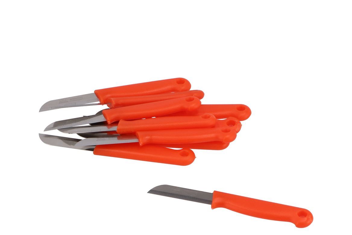 Flory. Coltellini Arancio Per Fioristi - 10pz