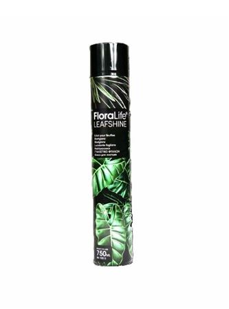 Flory. Oasis. Floralife Lucidante Fogliare 750ml