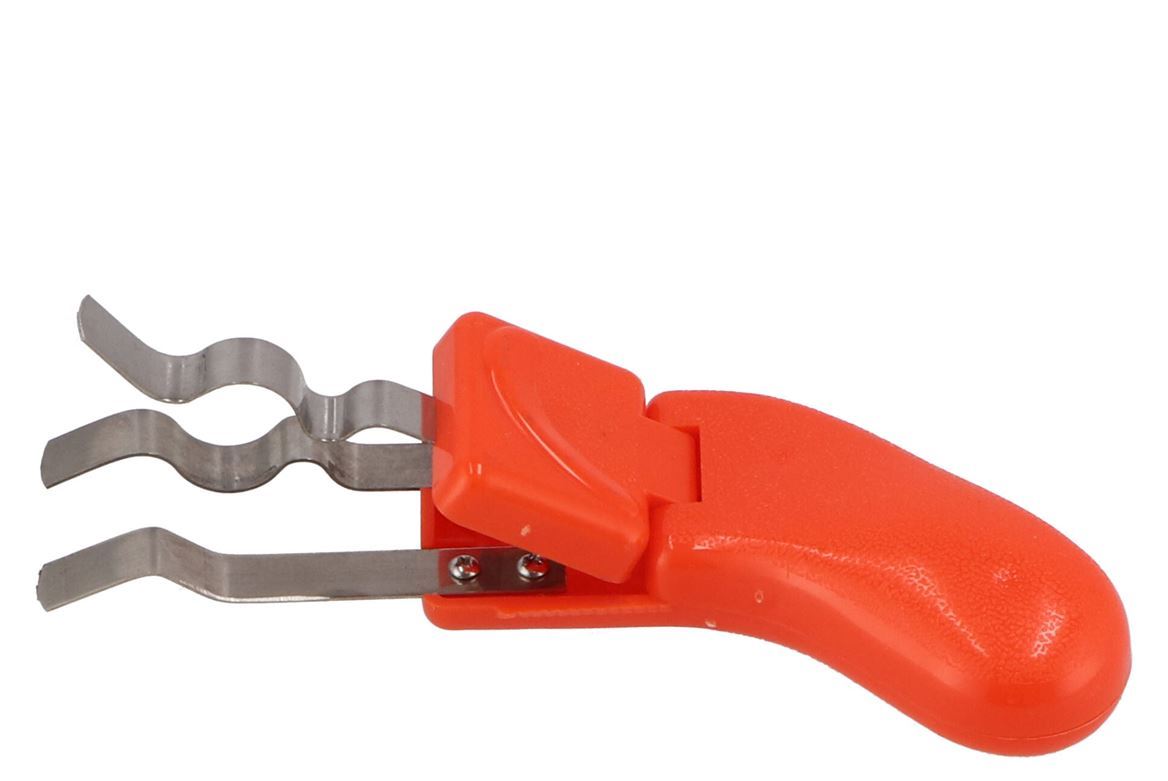 Flory. Pulistelo Per Rose Orange