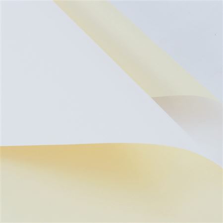 Paper. Film 155 Cm 57 X 57 (20pz) - Giallo
