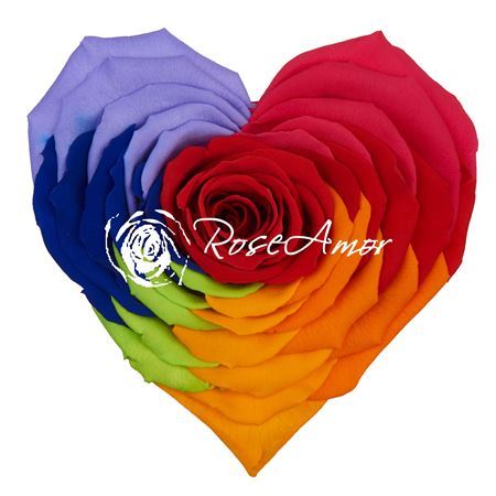 Preserved Rosa Heart Xxl Rainbow Red 02