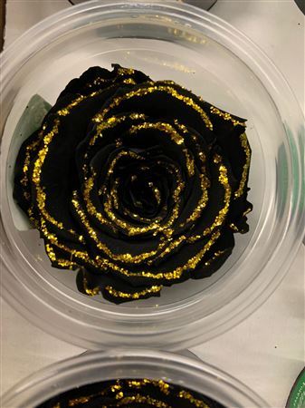 Preserved Rosa L Bla 01 Glitter Gold