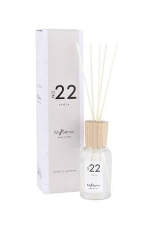 Prof. Diffusore Premium 100ml N.22 - Acqua