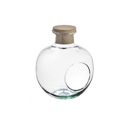 Terrarium. Bottiglia Con Buco H22 D19cm Bocca D8.5