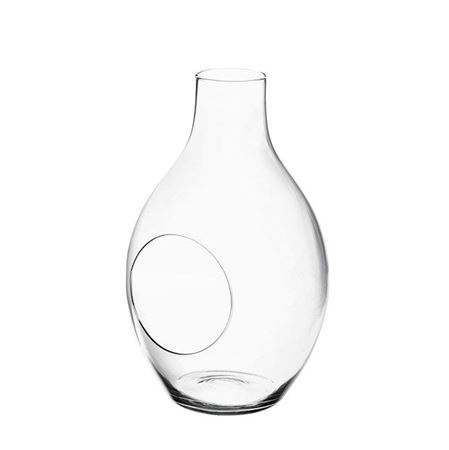Terrarium. Bottiglia Con Buco H37 D22cm