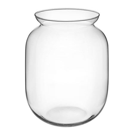 Terrarium. Vaso Vetro H18 D13cm