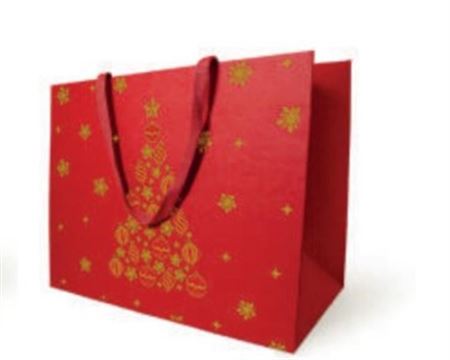 .xmas. Buste Veillèe 25x10h22cm 10pz - Red