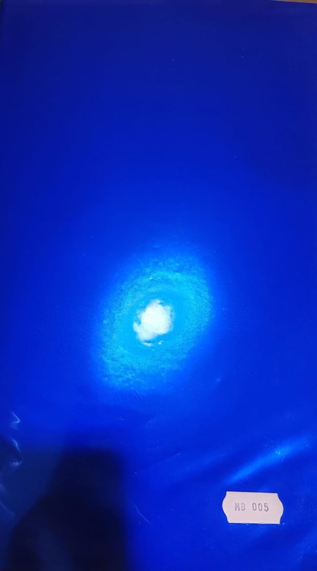 .xmas. Rotolo Bob. Cm100x25m Goffr. Blu