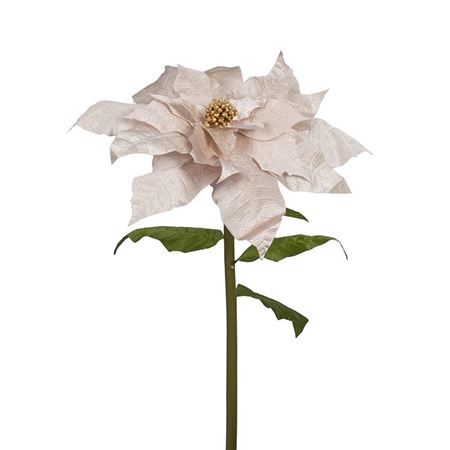 .xmas. Stella Natale Gigante D.70 H.150cm - Champ.