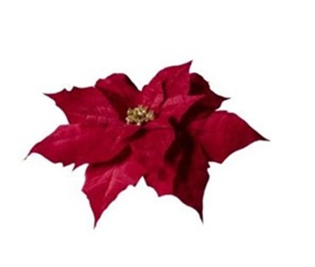 .xmas. Testa Stella Natale 70x70x15 Cm - Red