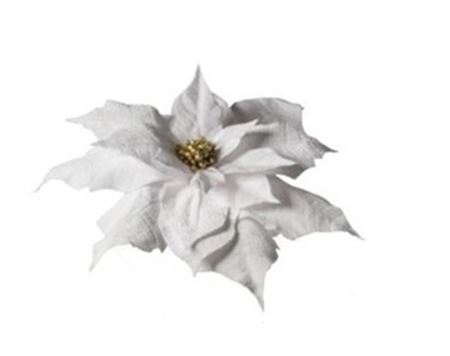 .xmas. Testa Stella Natale 70x70x15 Cm - White
